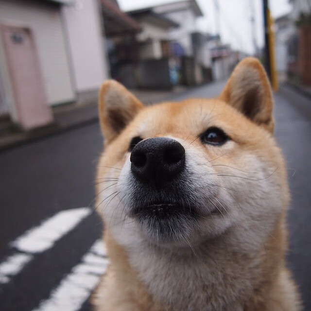 横扫的艺术,从团队风暴到个人火焰