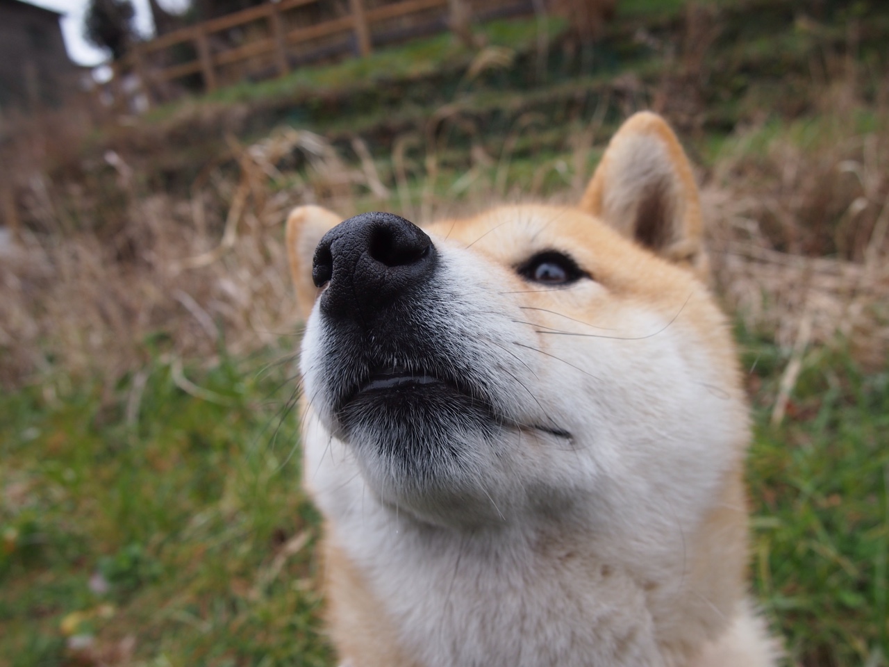 平行时差的抢七,巴拉圭一场胜仗,在两个半球同时奏响终场哨