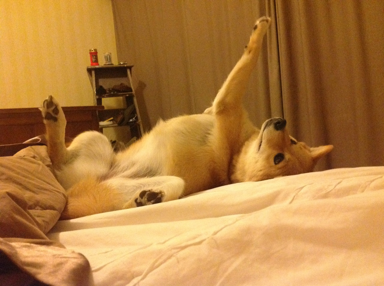 有备无患对天外飞仙，国际米兰的沉稳艺术与贝林厄姆的璀璨光芒