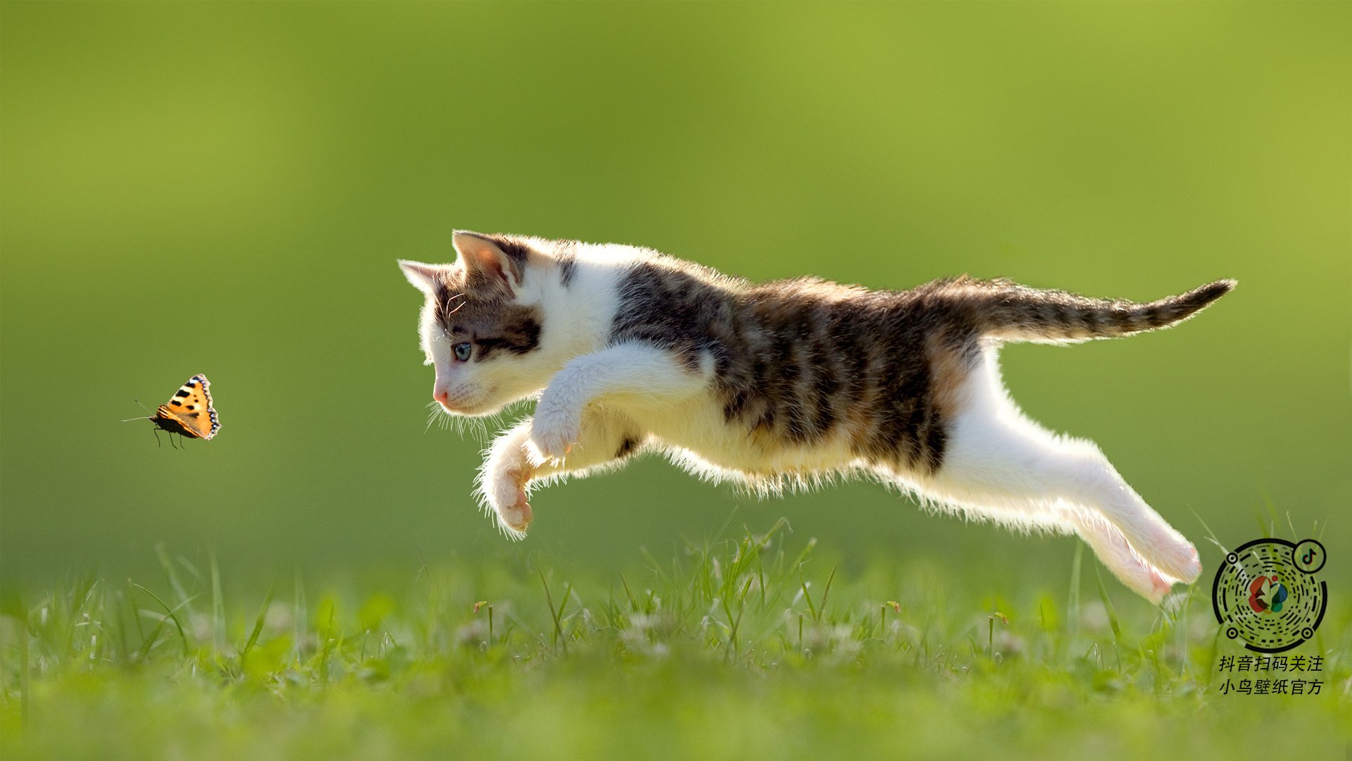 爱游戏下载-永恒之星，特奥爆发之夜，阿根廷绝杀如何定义一代人的心跳瞬间