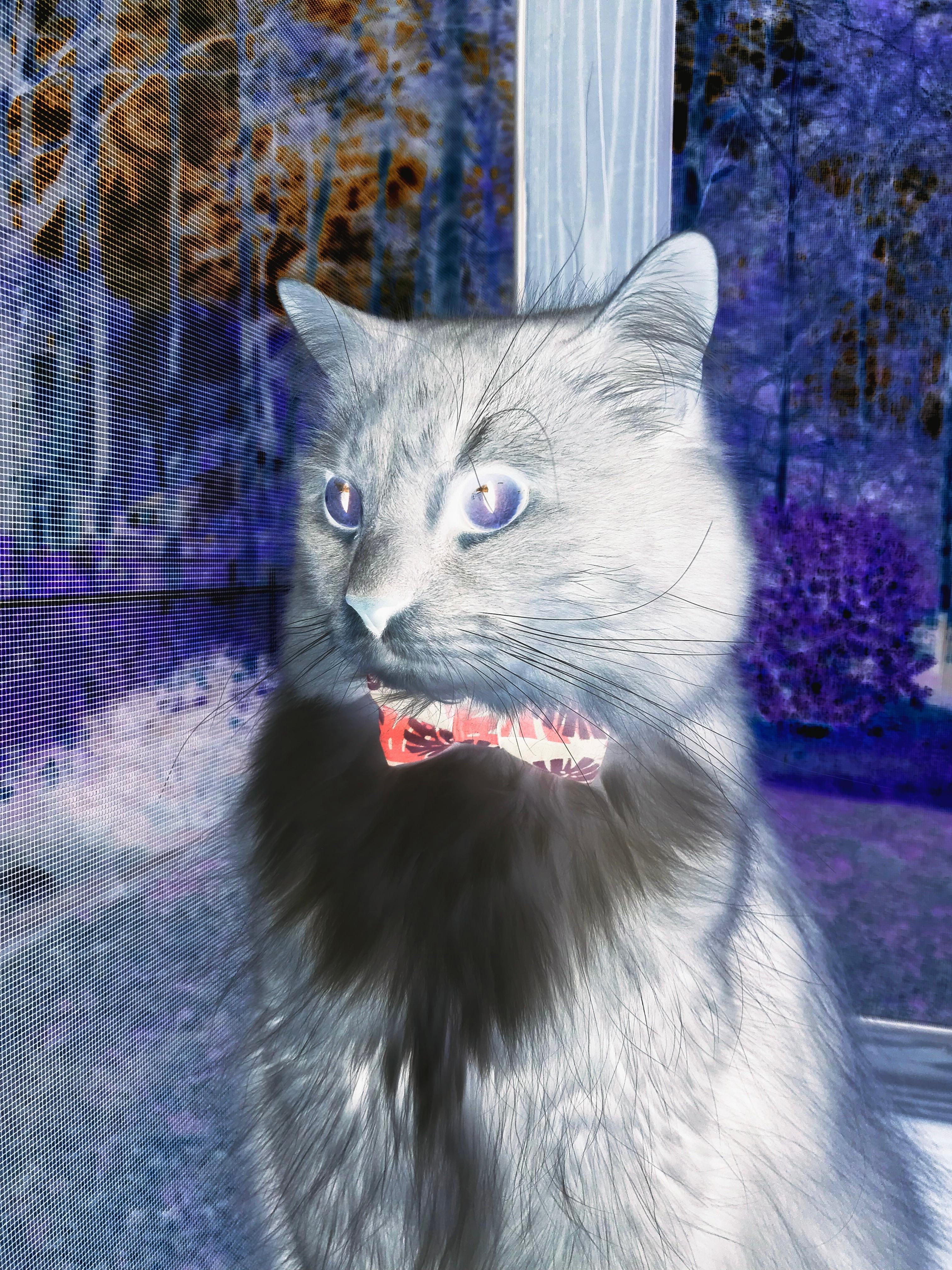 爆冷夜与封神路，当奇才速胜凯尔特人，哈登在历史排名争夺战正式接管