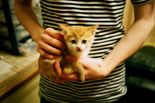 历史冰封后的火焰，秘鲁的沙漠奇迹与凯恩的黄金一箭