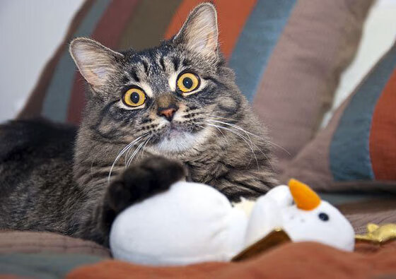 冰火淬刀锋，伦纳德一剑封喉西决，快船绝境焚热火