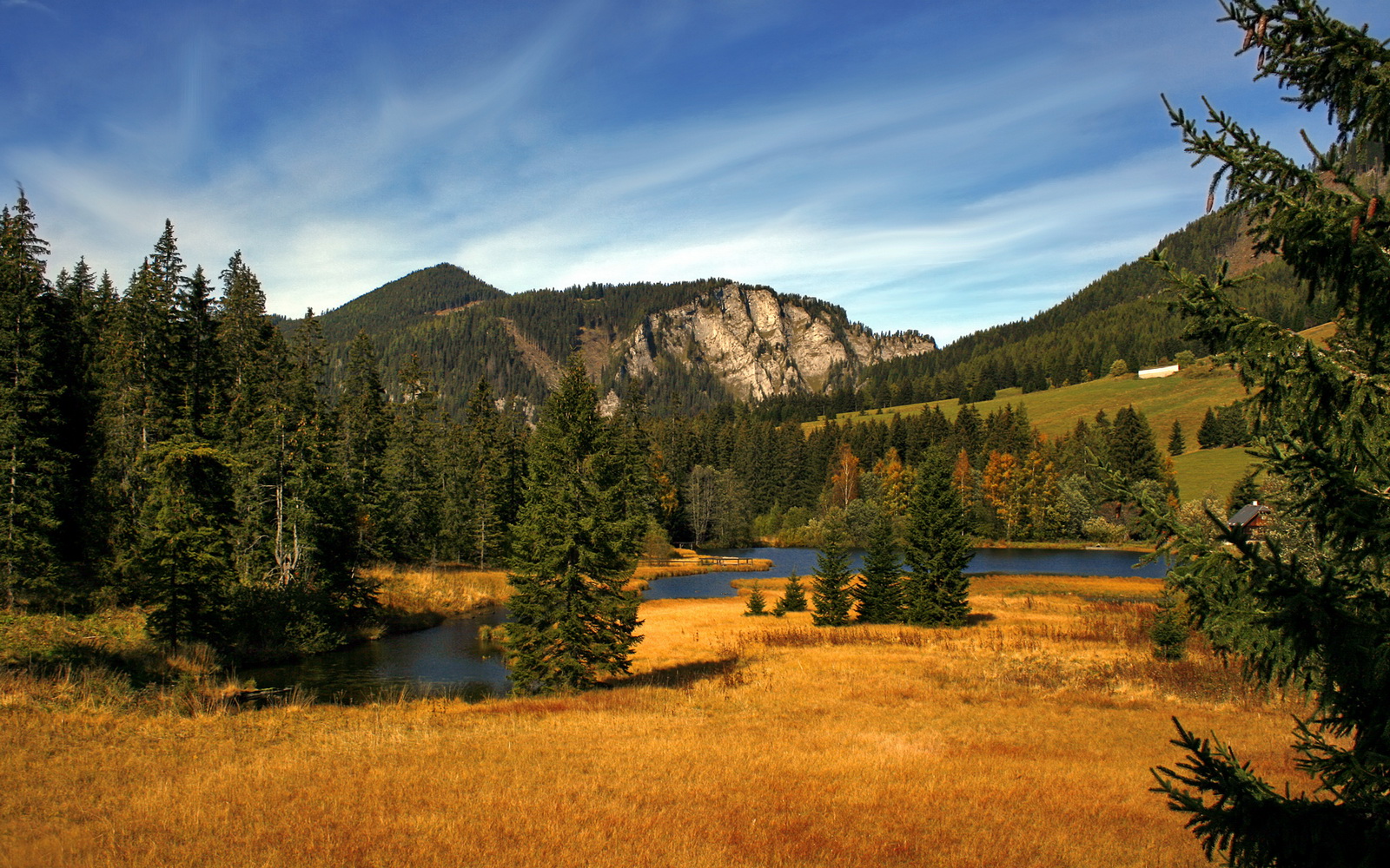 破壁者降临，锡安暴力美学引爆赛场，雷霆青春风暴彻底压制浙江防线