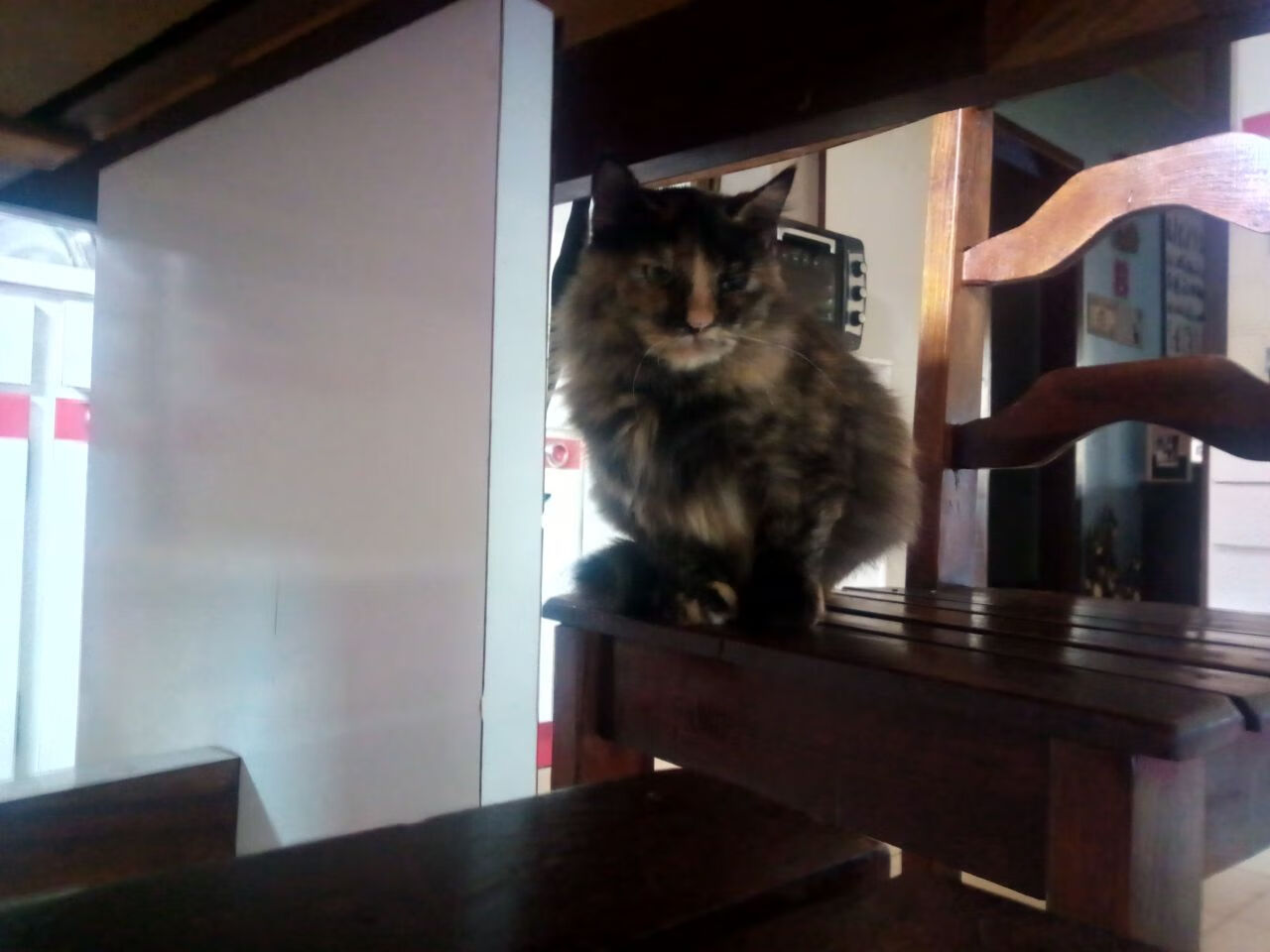 欧冠半决赛之夜，拉梅洛，那团灼烧巴黎的铁锈色火焰