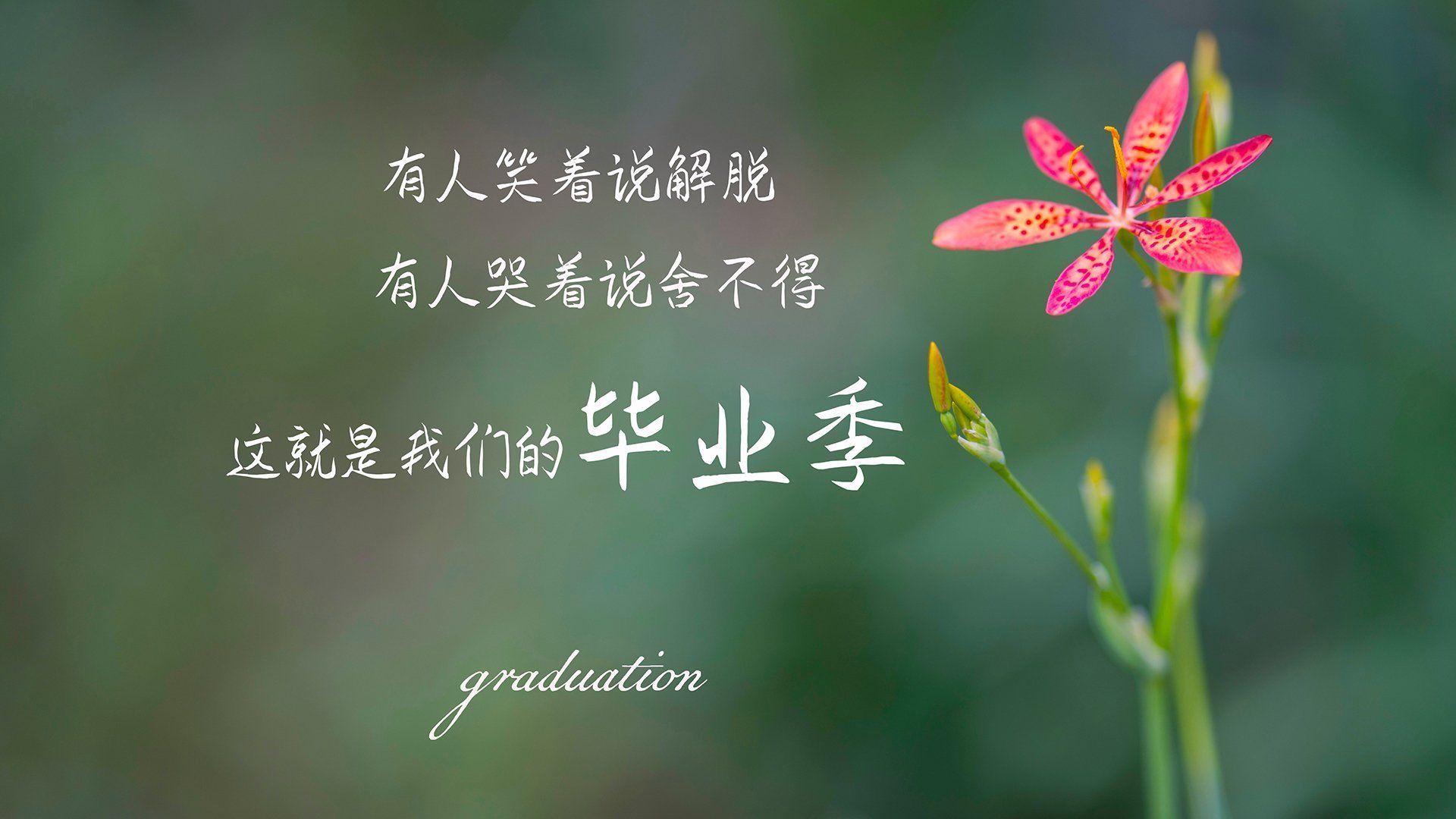 灼烧的雨林与沙漠的风，戈麦斯，如何用一击在世界的缝隙中雕出永恒