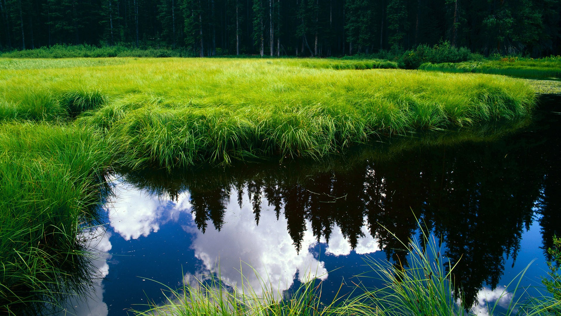 今夜，厄德高是天文学家，他的望远镜对准了对手的星辰