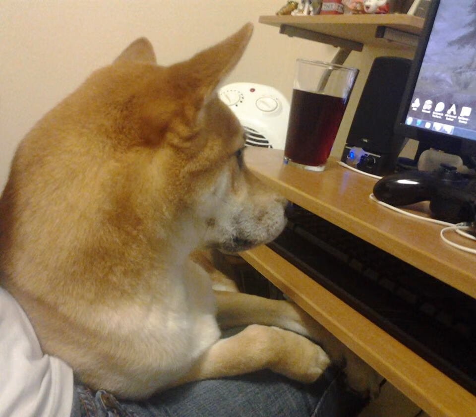 比利时防线如何为奥亚尔萨瓦尔的高能输出奠基，终助球队稳稳拿下挪威