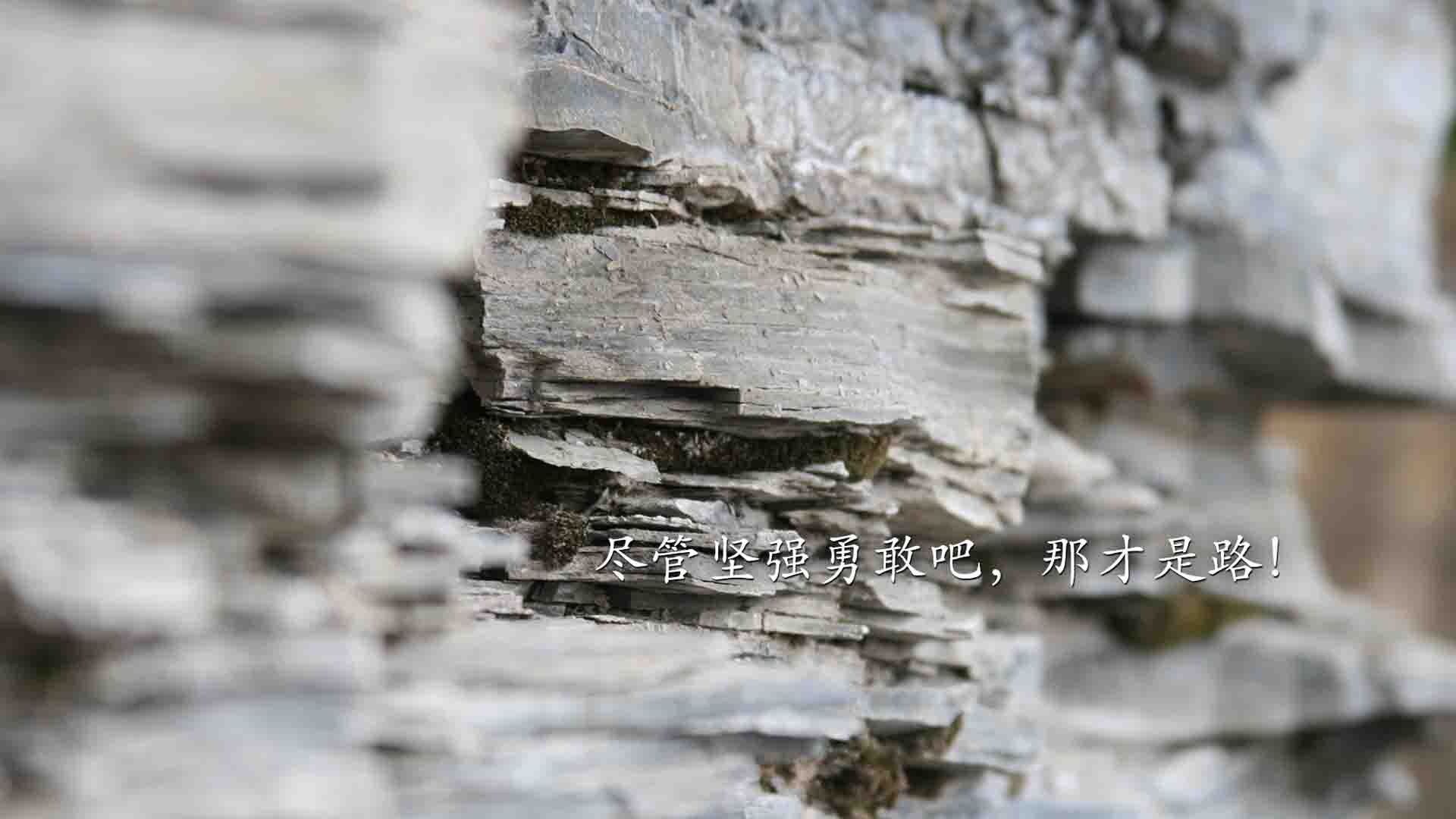 沙漠之巅的独白，2026世界杯，内马尔一剑封喉，卡塔尔黑马之战书写唯一传奇