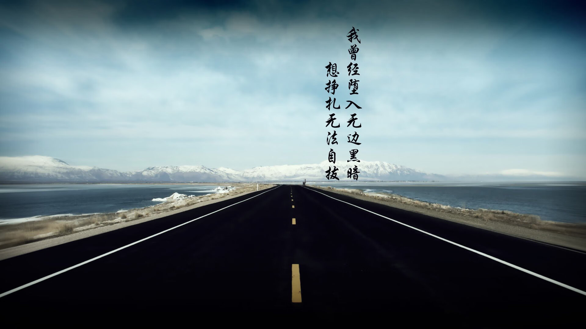 逆光之翼，2026世界杯D组生死战，葡萄牙如何用默契击穿荷兰，萨内独舞成唯一答案