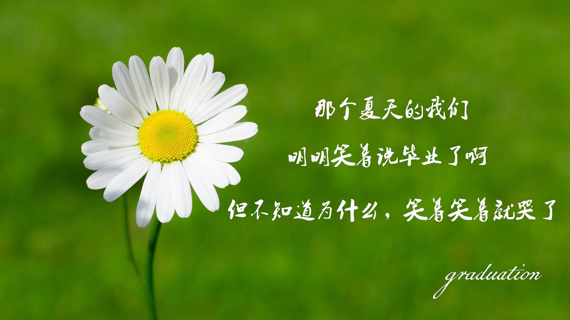 D组末战惊天逆转,厄瓜多尔碾压葡萄牙,阿诺德完成致命一击改写小组格局