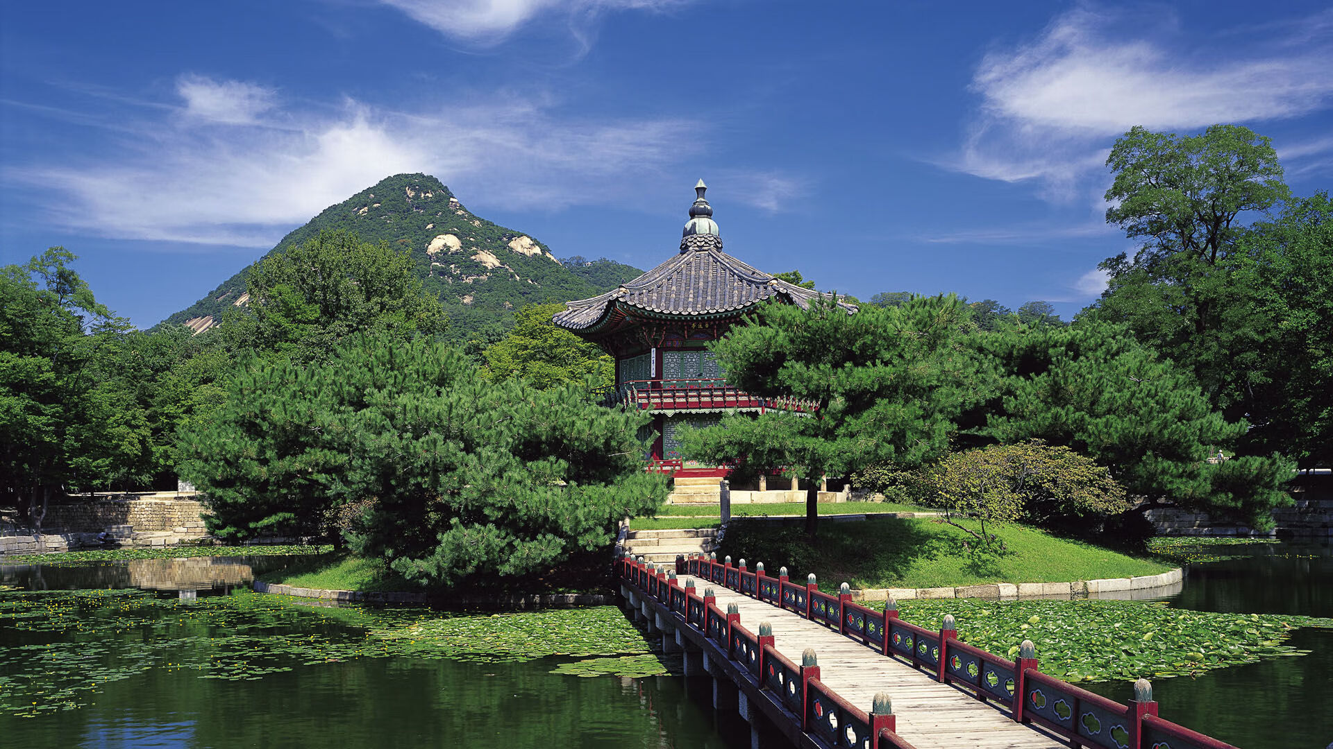宿命的窄门，2026世界杯F组生死战，比利时绝杀德国，萨卡扛起三狮暗夜的孤星
