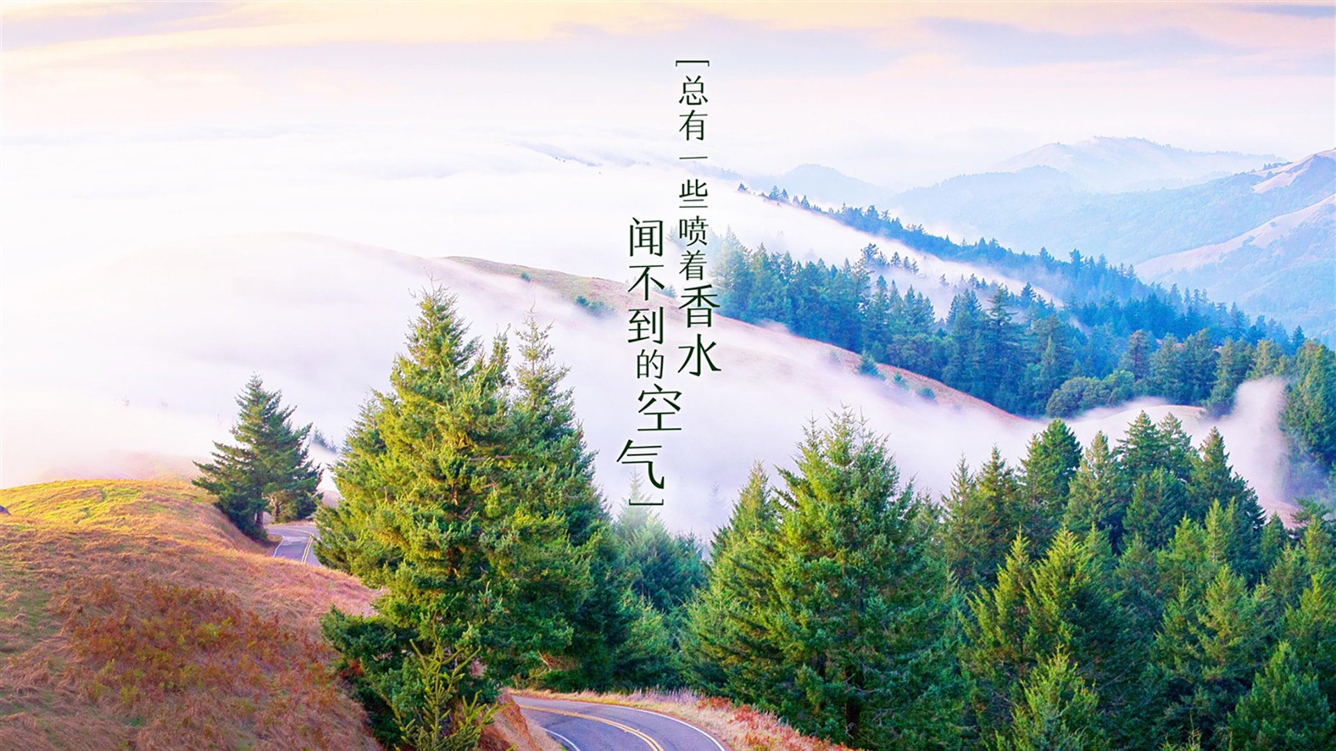 宿命的窄门，2026世界杯F组生死战，比利时绝杀德国，萨卡扛起三狮暗夜的孤星