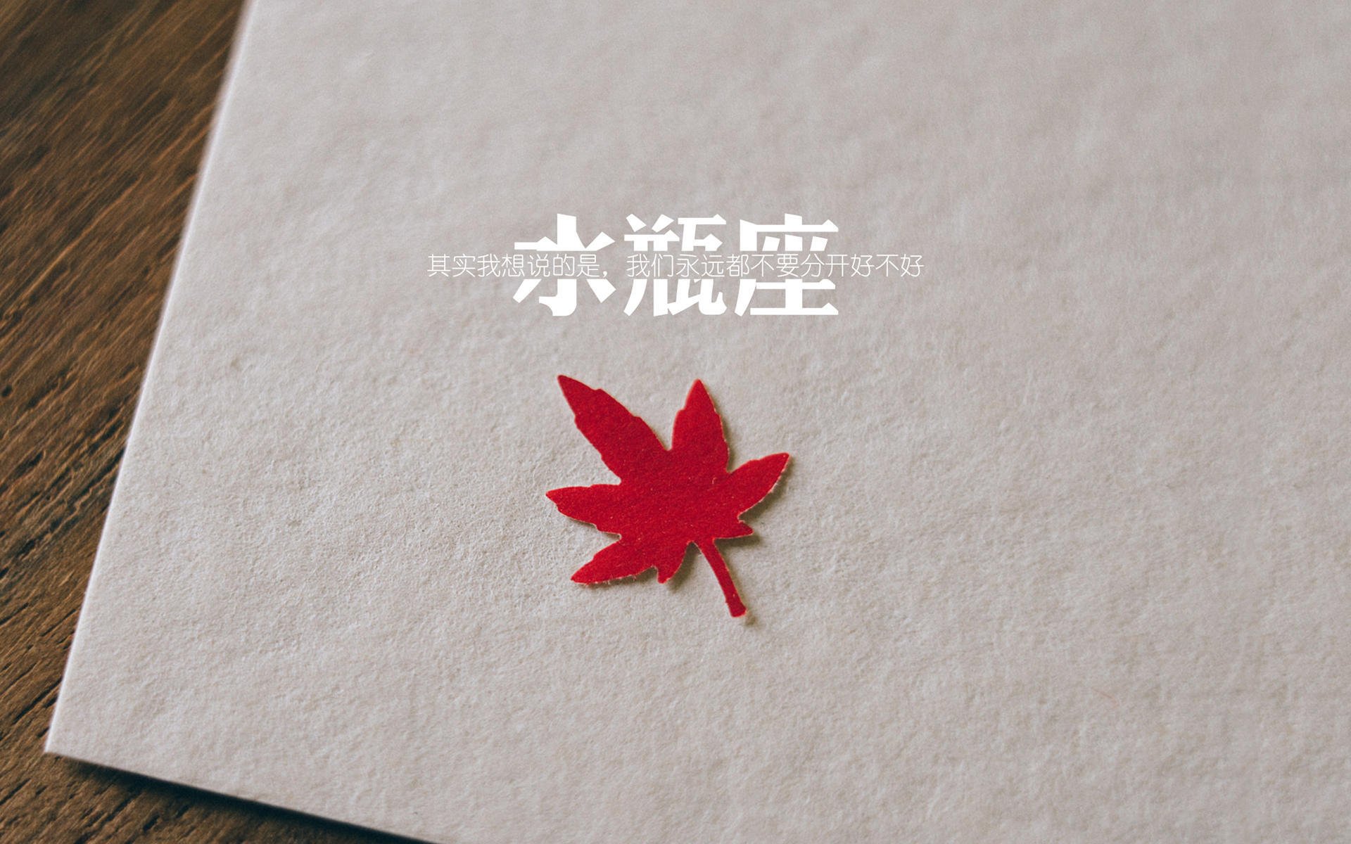 蓝白红之外的独白，2026世界杯A组，当哥伦比亚的钢铁防线遇见福登的致命一击